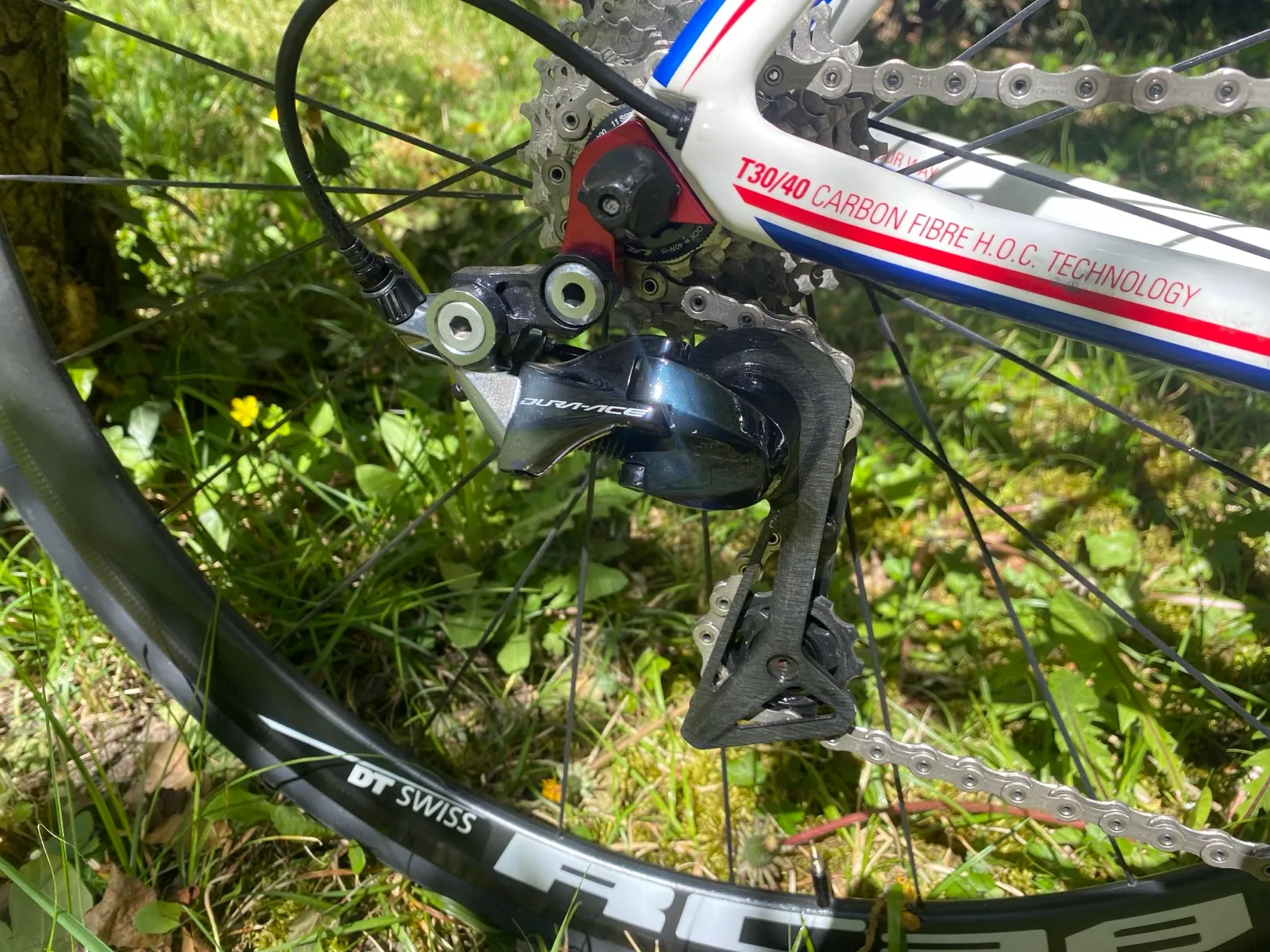 ROSE X-Lite Team (RH 50)