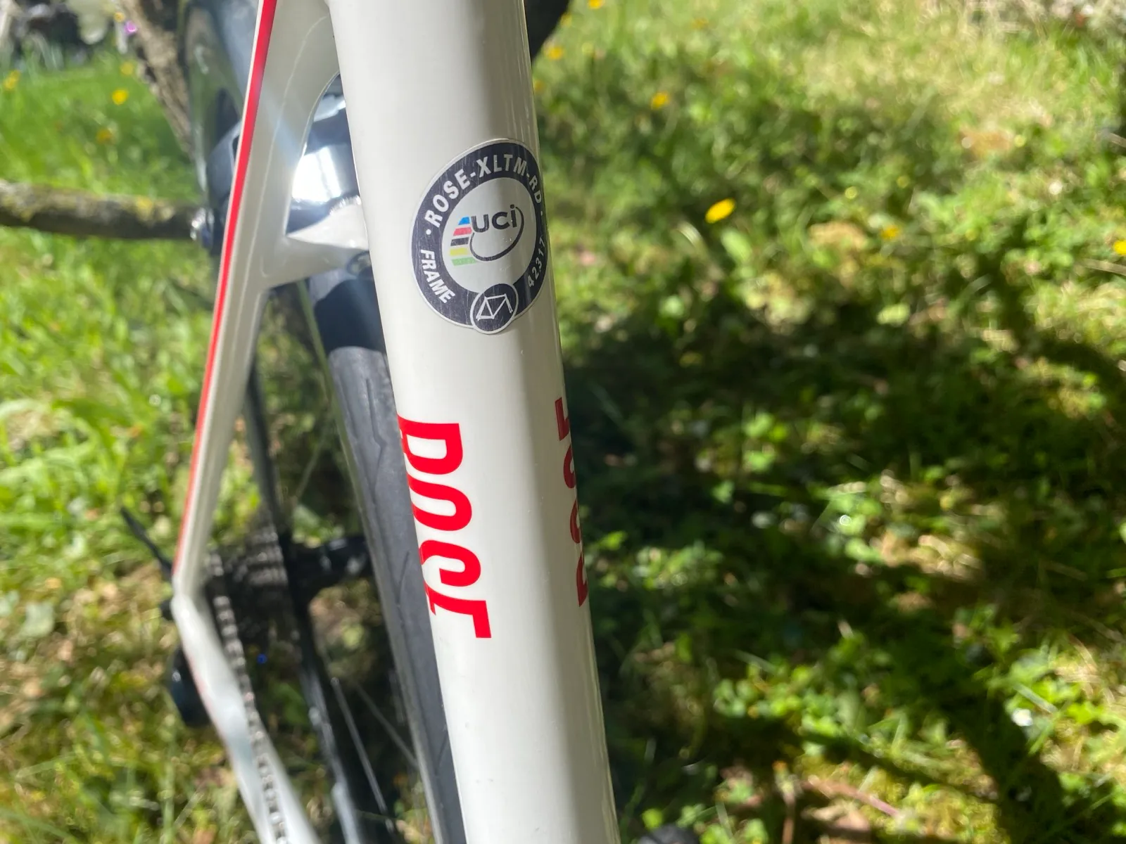 ROSE X-Lite Team (RH 50)