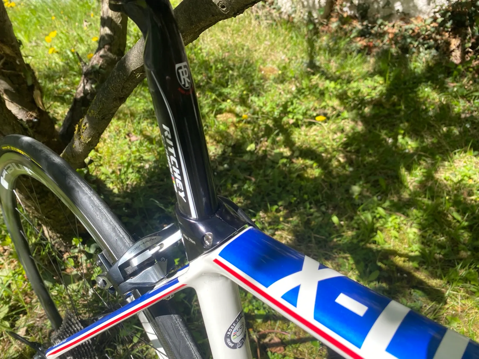 ROSE X-Lite Team (RH 50)