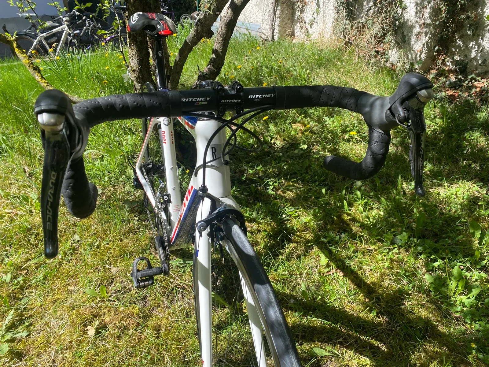 ROSE X-Lite Team (RH 50)