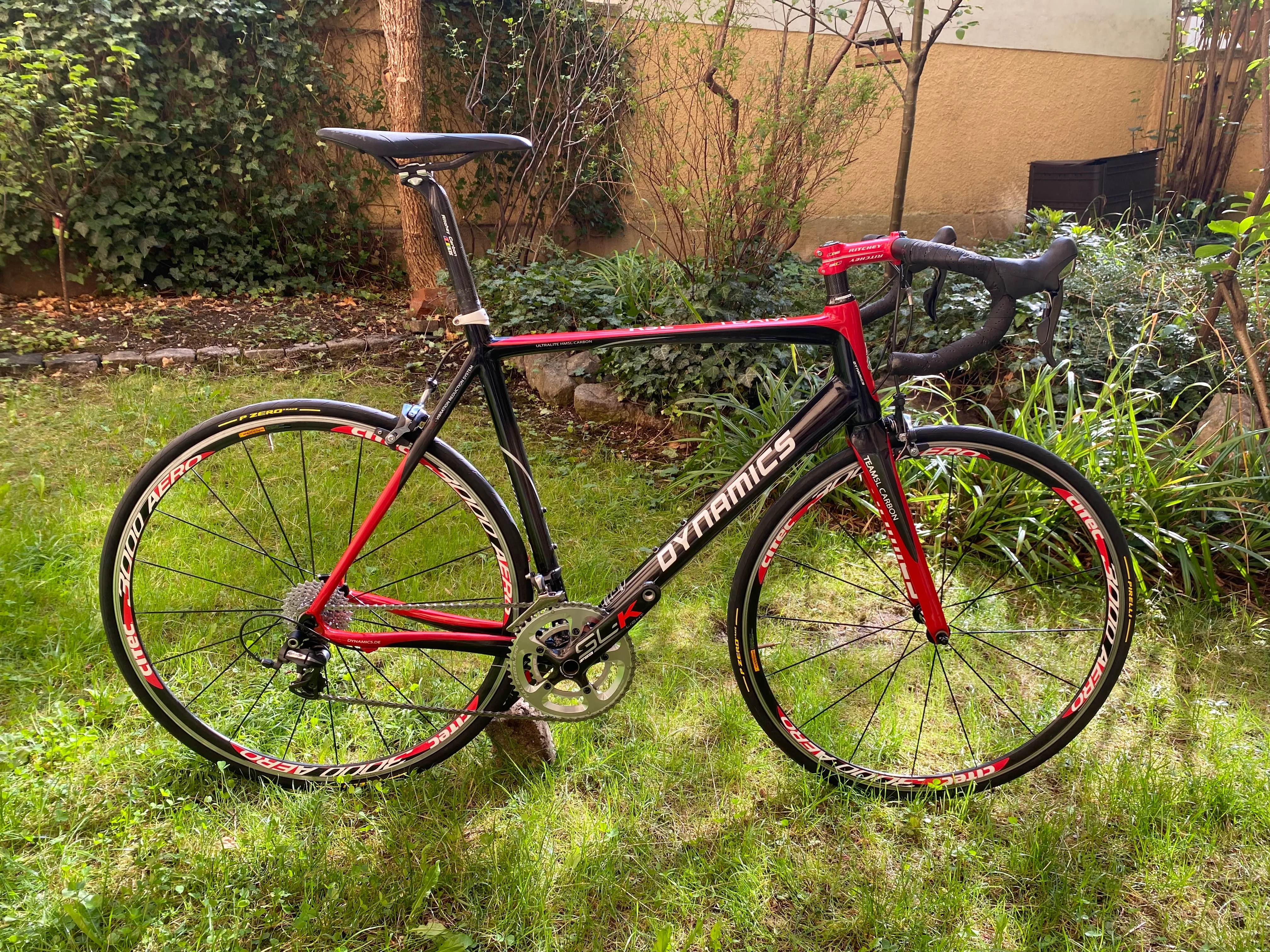 Dynamics RSL Team Ultralite (RH 58)