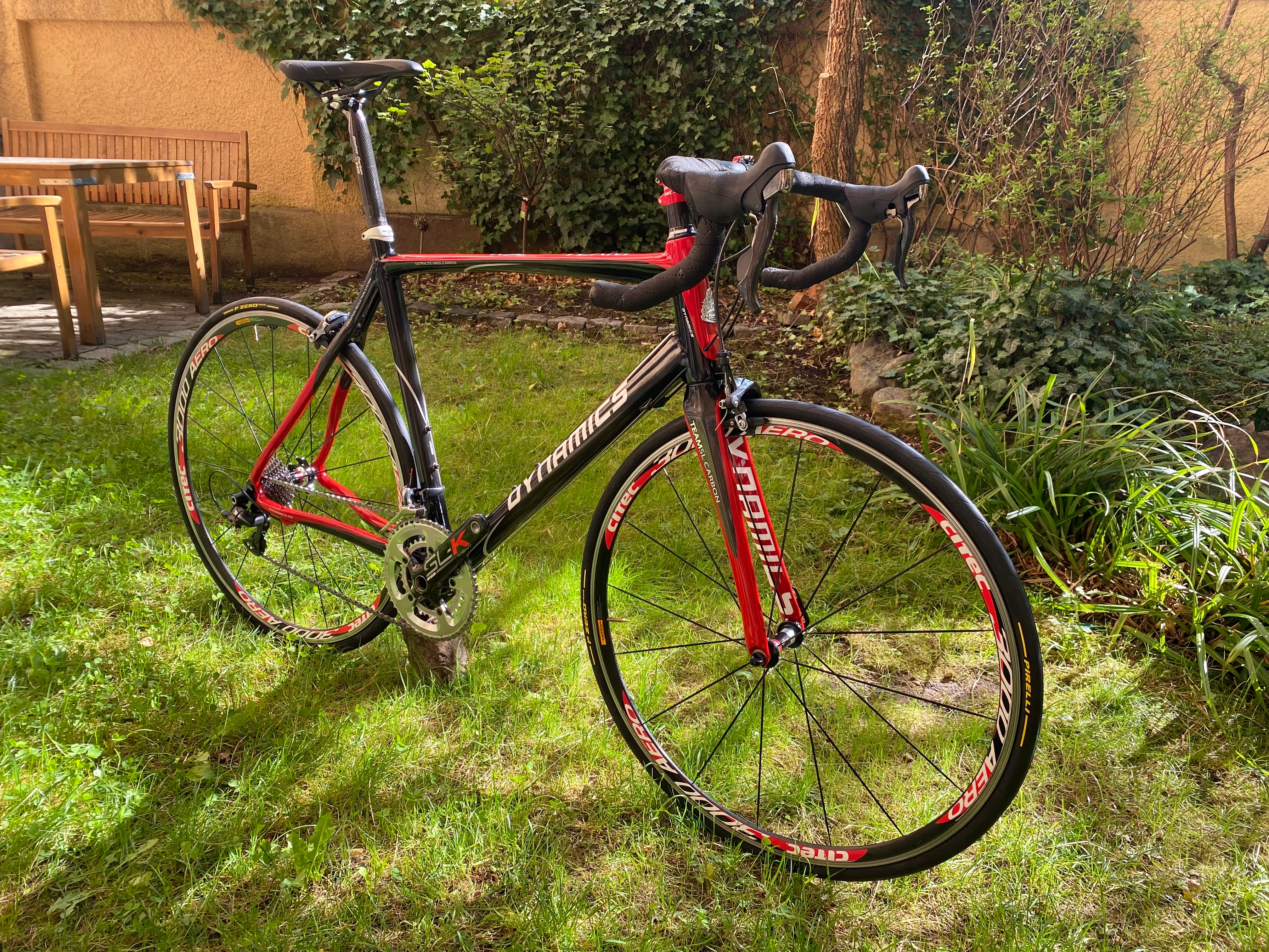 Dynamics RSL Team Ultralite (RH 58)